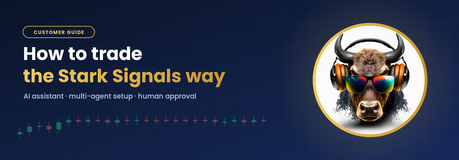 How to trade the Stark Signals way – customer guide